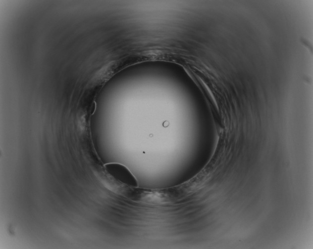 X0000097650611200803071511