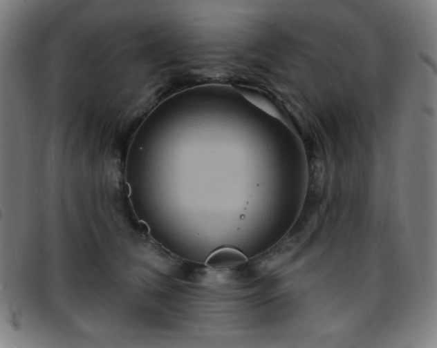 X0000097650612200803071511