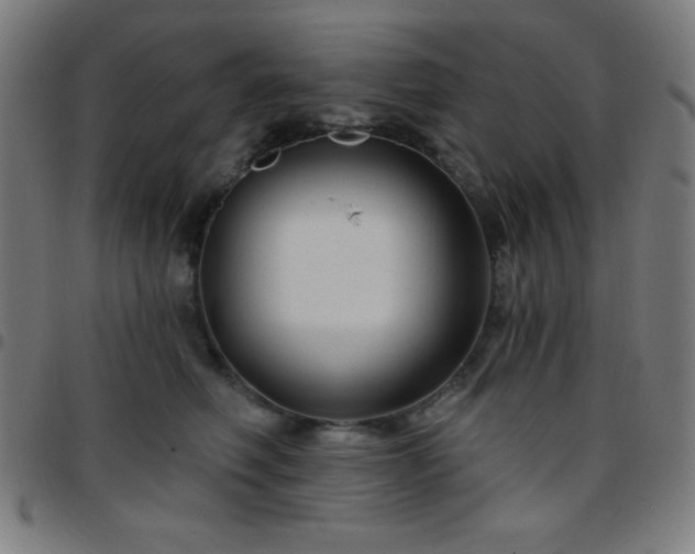 X0000097650614200803071510