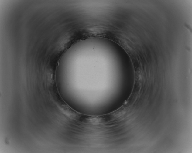 X0000097650615200803071510