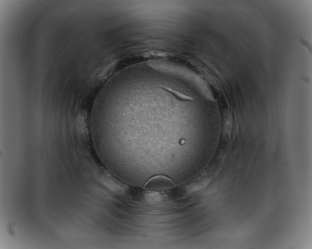 X0000097650616200803071510