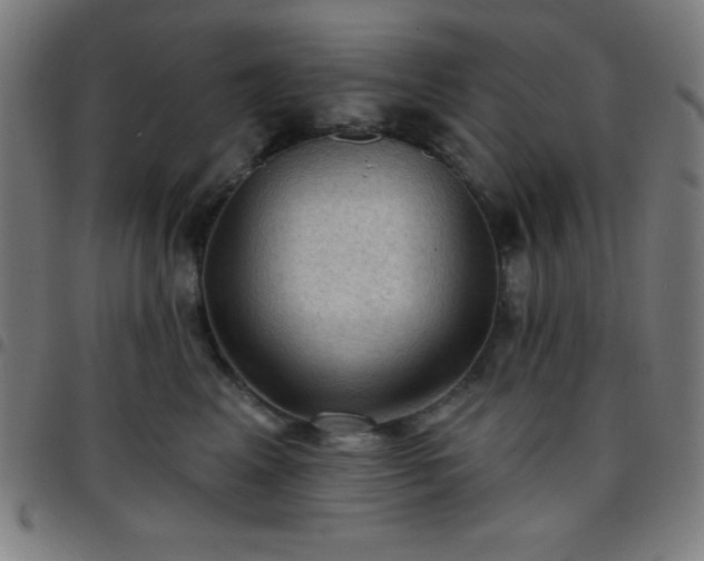 X0000097650617200803071510