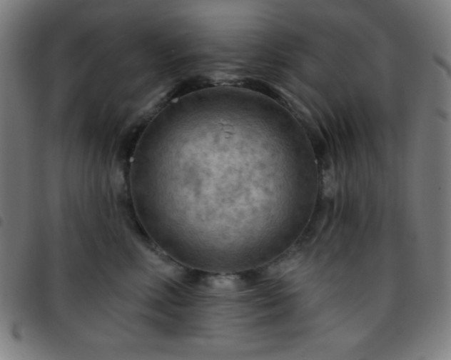 X0000097650618200803071510