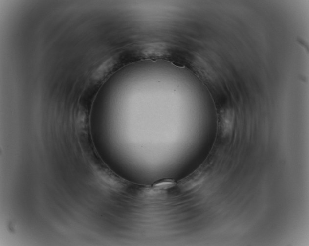 X0000097650619200803071510