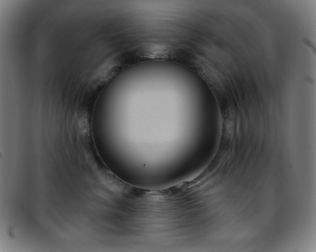 X0000097650620200803071510