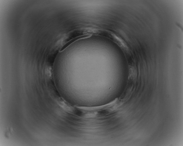 X0000097650621200803071510