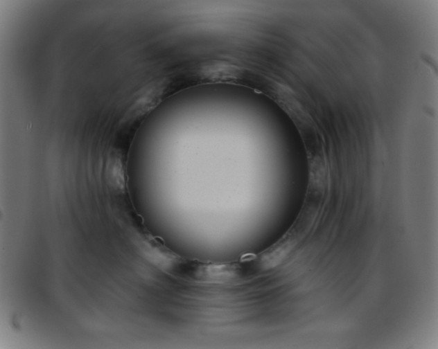 X0000097650622200803071510