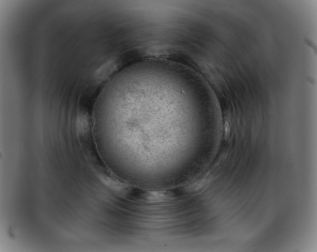 X0000097650623200803071510