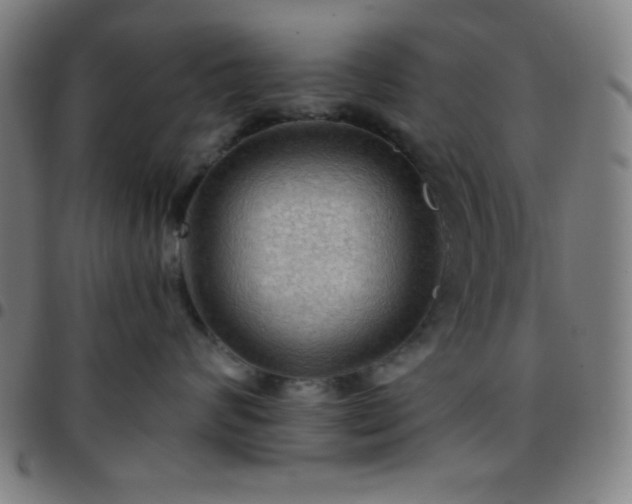 X0000097650624200803071510