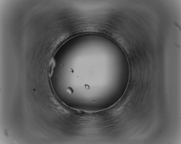 X0000097650625200803071510