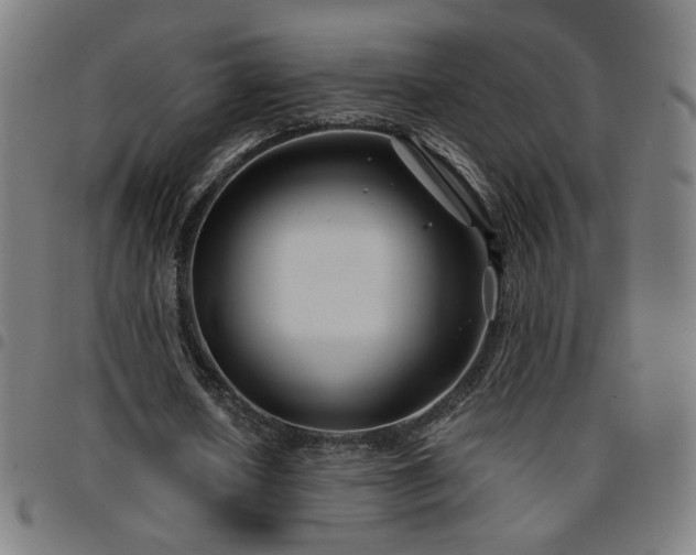 X0000097650626200803071510