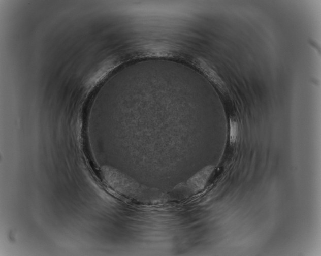 X0000097650627200803071510