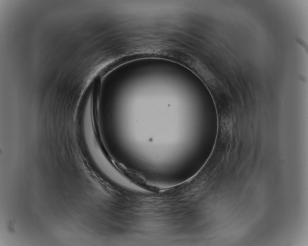 X0000097650628200803071510