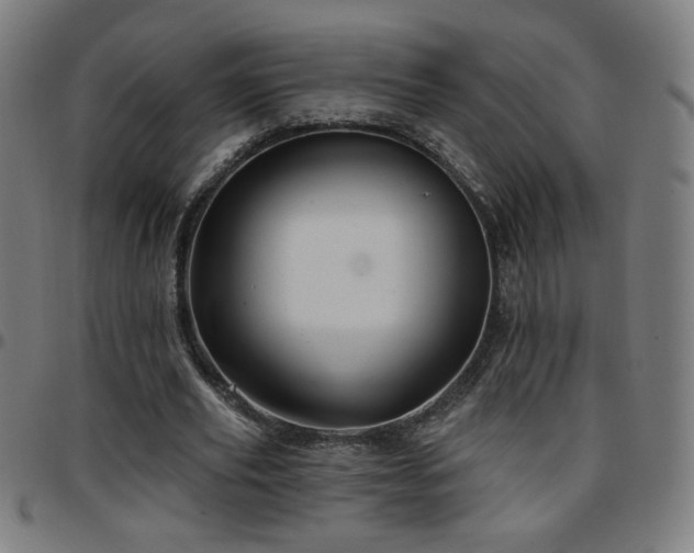 X0000097650629200803071510