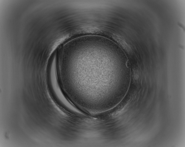 X0000097650630200803071510