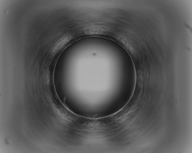 X0000097650631200803071510