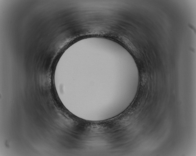 X0000097650632200803071510