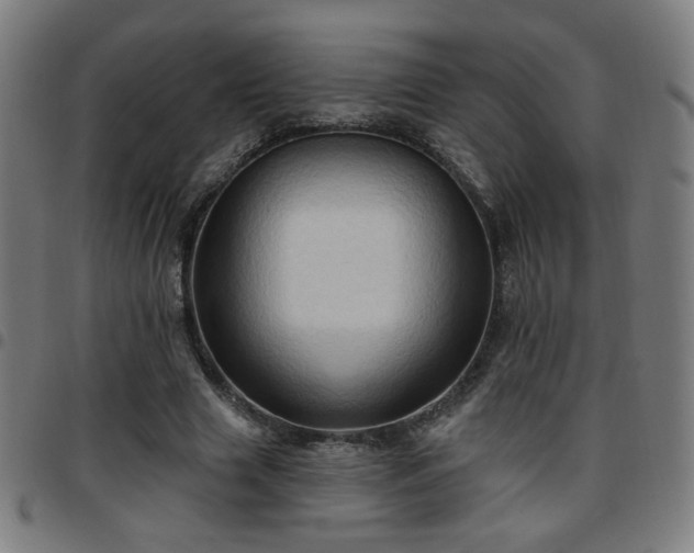 X0000097650633200803071510