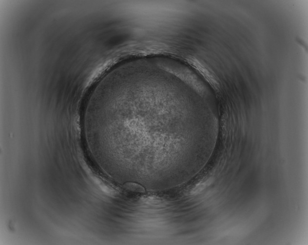 X0000097650634200803071510