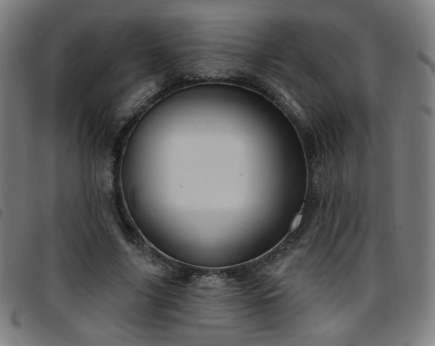 X0000097650635200803071510