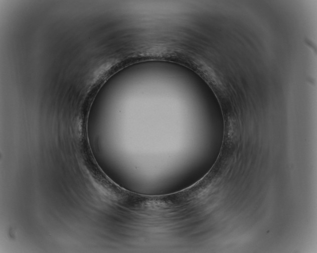 X0000097650636200803071510