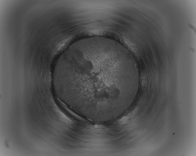 X0000097650637200803071510