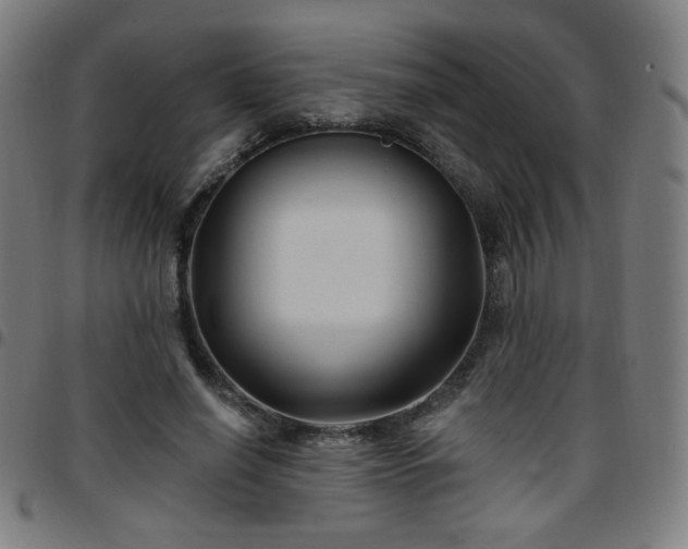 X0000097650638200803071510