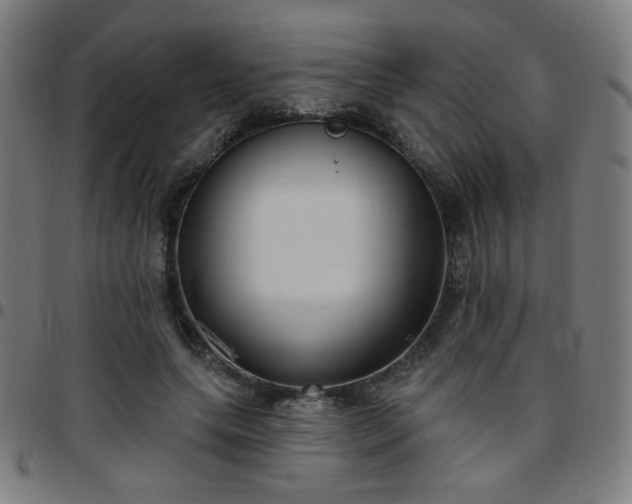 X0000097650639200803071510