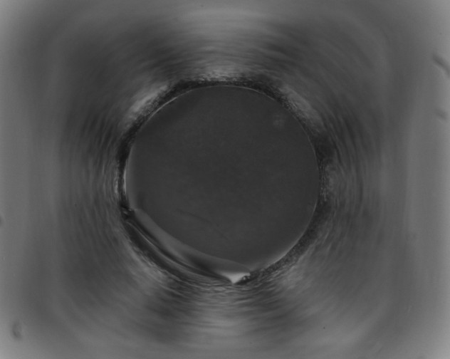 X0000097650640200803071510