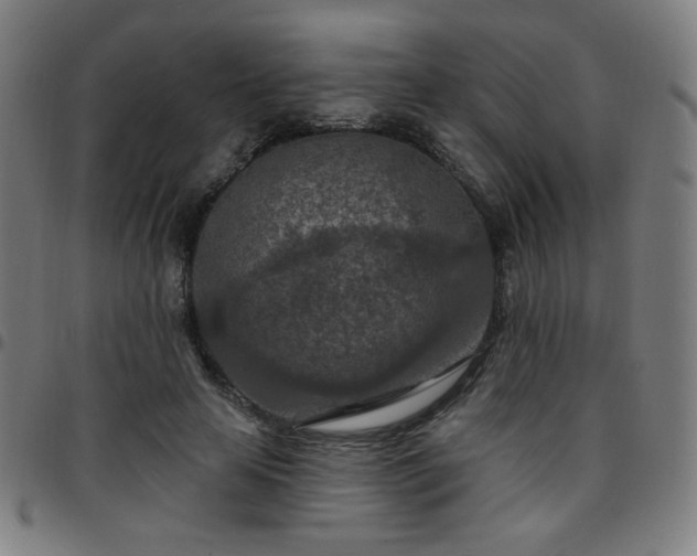 X0000097650641200803071510