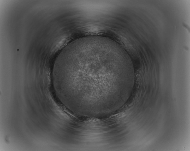 X0000097650642200803071510