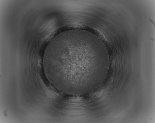 X0000097650643200803071510