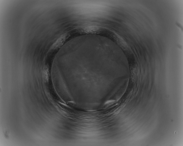 X0000097650644200803071510