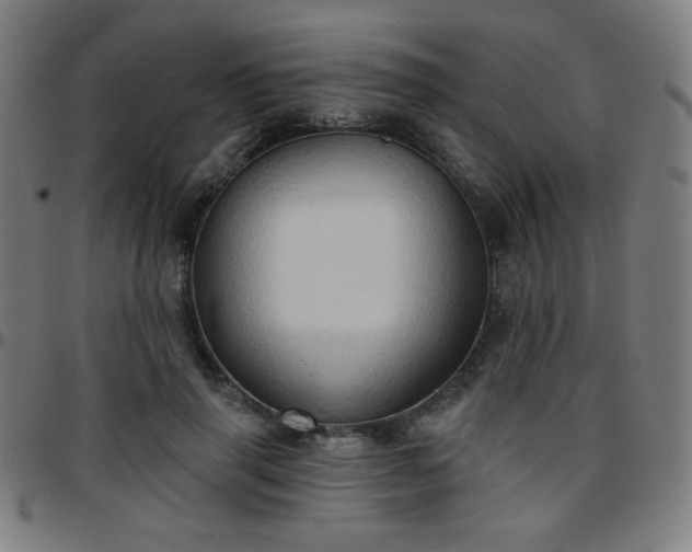 X0000097650645200803071510