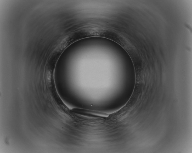 X0000097650646200803071510