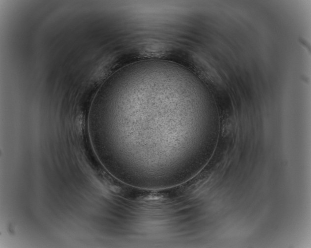 X0000097650647200803071510