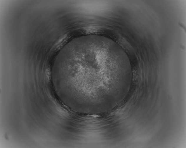 X0000097650648200803071510