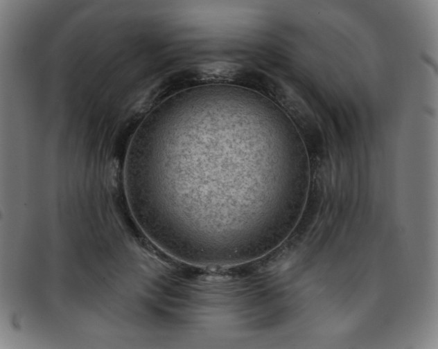 X0000097650649200803071510