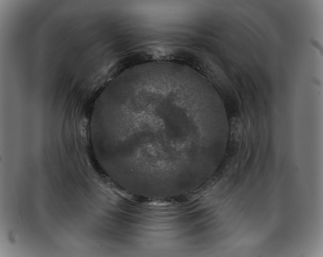 X0000097650650200803071510