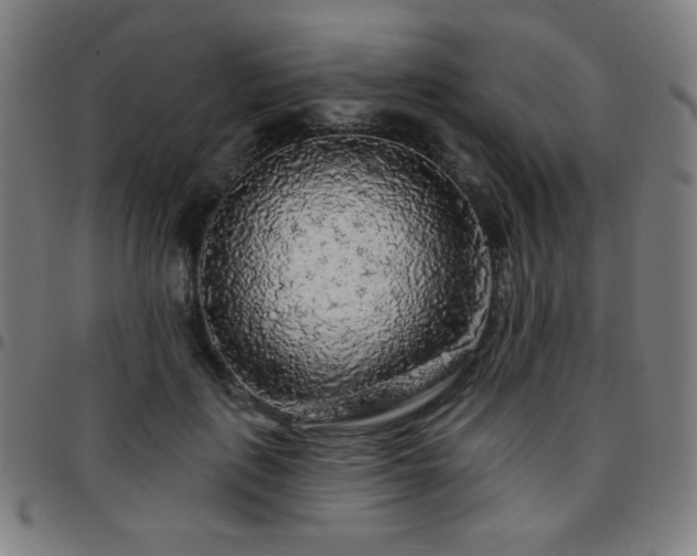 X0000097650651200803071510