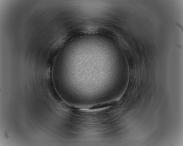 X0000097650652200803071510