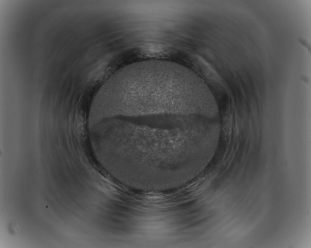 X0000097650653200803071510