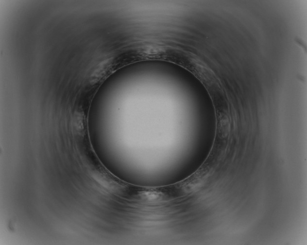 X0000097650654200803071510