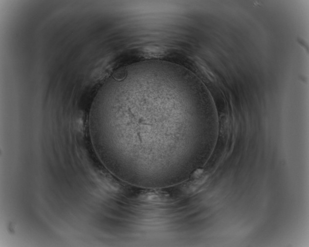 X0000097650655200803071510