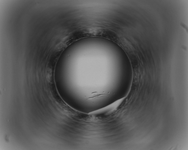 X0000097650656200803071510