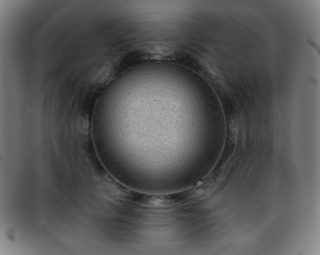 X0000097650657200803071510