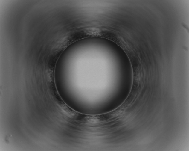 X0000097650658200803071510