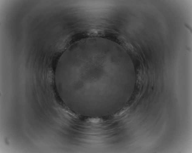 X0000097650659200803071510