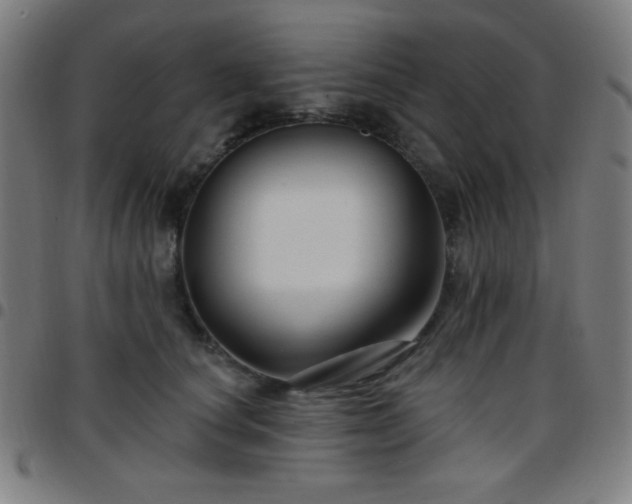 X0000097650660200803071510