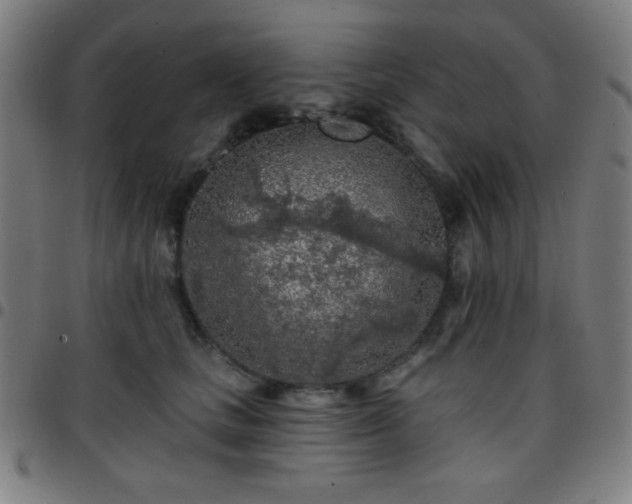 X0000097650661200803071510